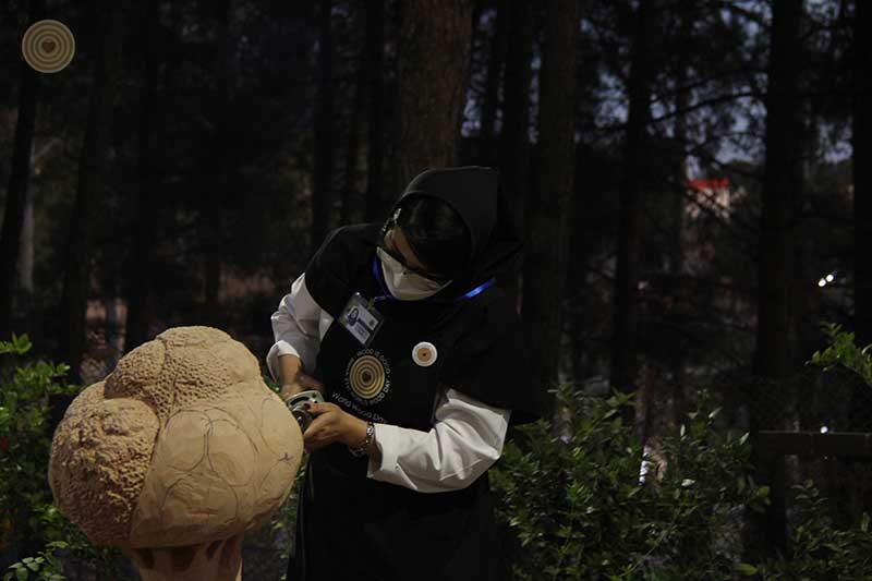 Regional Event, Iran, World Wood Day 2021, Woodcraft, Wooden Music