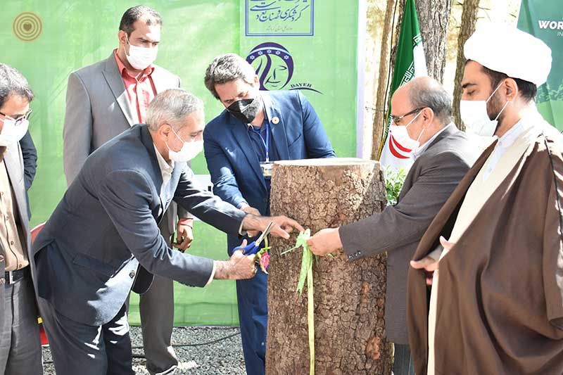 Regional Event, Iran, World Wood Day 2021, Woodcraft, Wooden Music