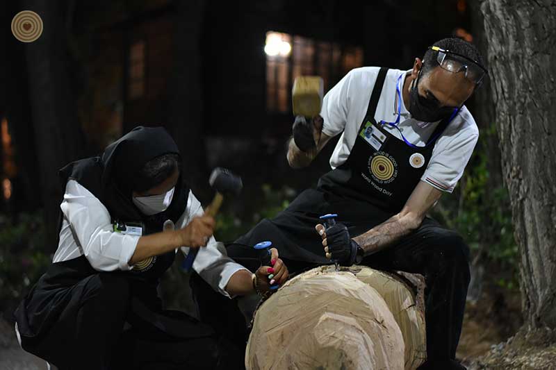 Regional Event, Iran, World Wood Day 2021, Woodcraft, Wooden Music