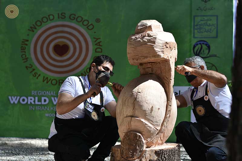 Regional Event, Iran, World Wood Day 2021, Woodcraft, Wooden Music