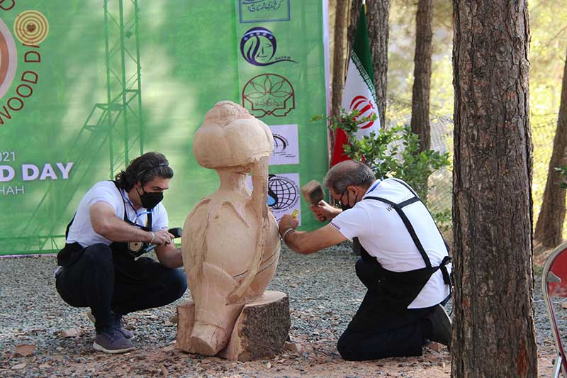 Regional Event, Iran, World Wood Day 2021, Woodcraft, Wooden Music