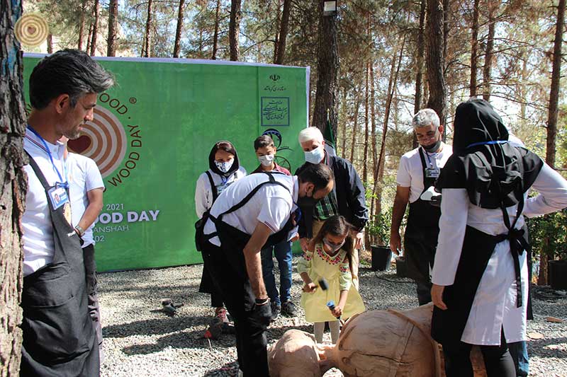 Regional Event, Iran, World Wood Day 2021, Woodcraft, Wooden Music