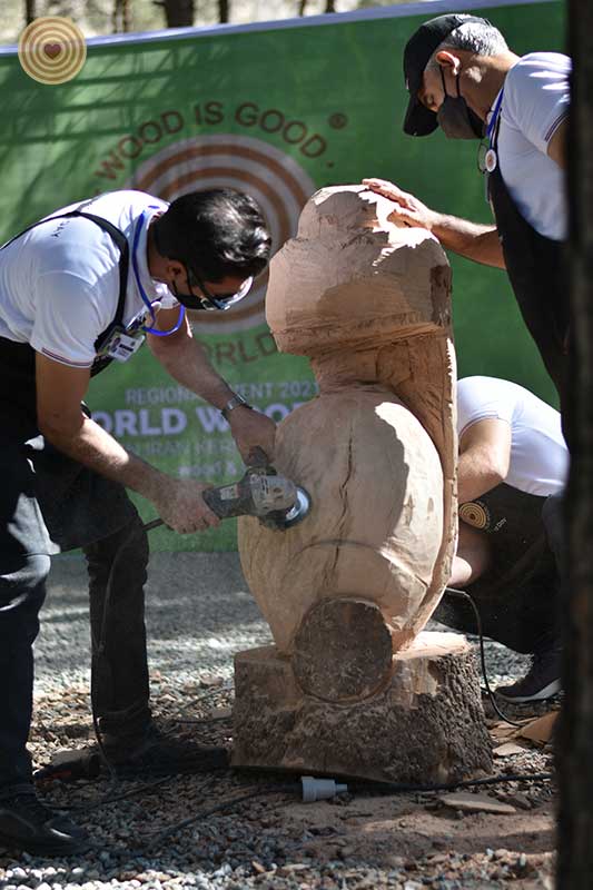 Regional Event, Iran, World Wood Day 2021, Woodcraft, Wooden Music