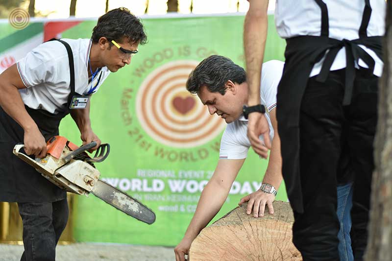 Regional Event, Iran, World Wood Day 2021, Woodcraft, Wooden Music