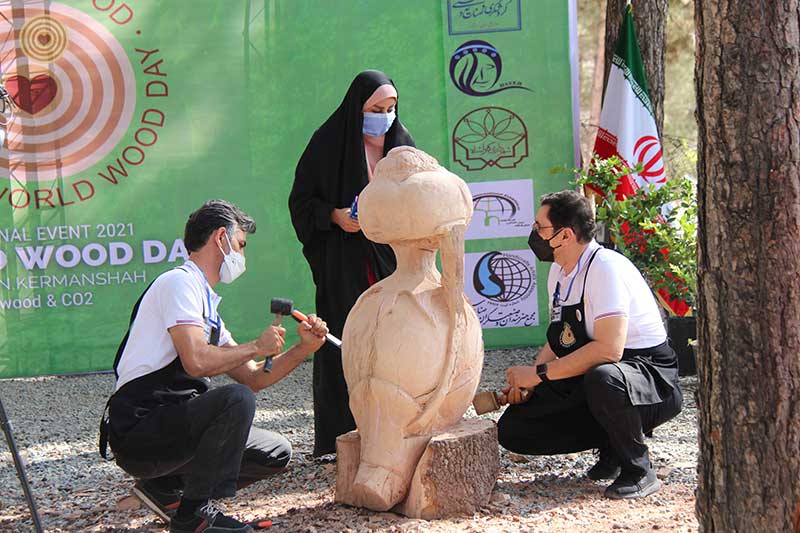 Regional Event, Iran, World Wood Day 2021, Woodcraft, Wooden Music