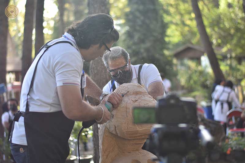 Regional Event, Iran, World Wood Day 2021, Woodcraft, Wooden Music