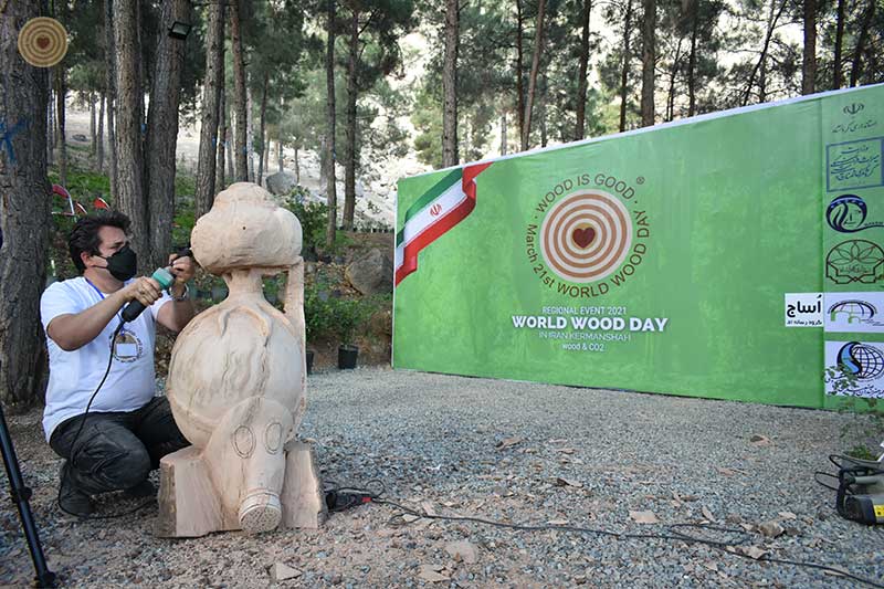 Regional Event, Iran, World Wood Day 2021, Woodcraft, Wooden Music