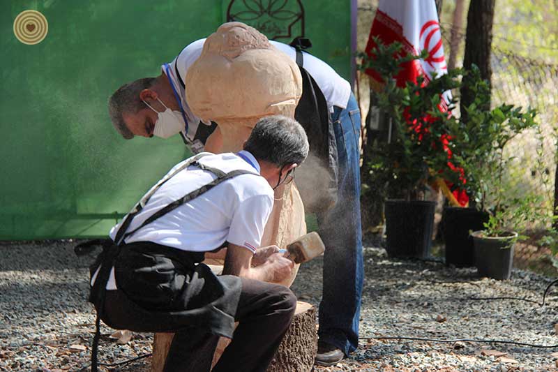Regional Event, Iran, World Wood Day 2021, Woodcraft, Wooden Music