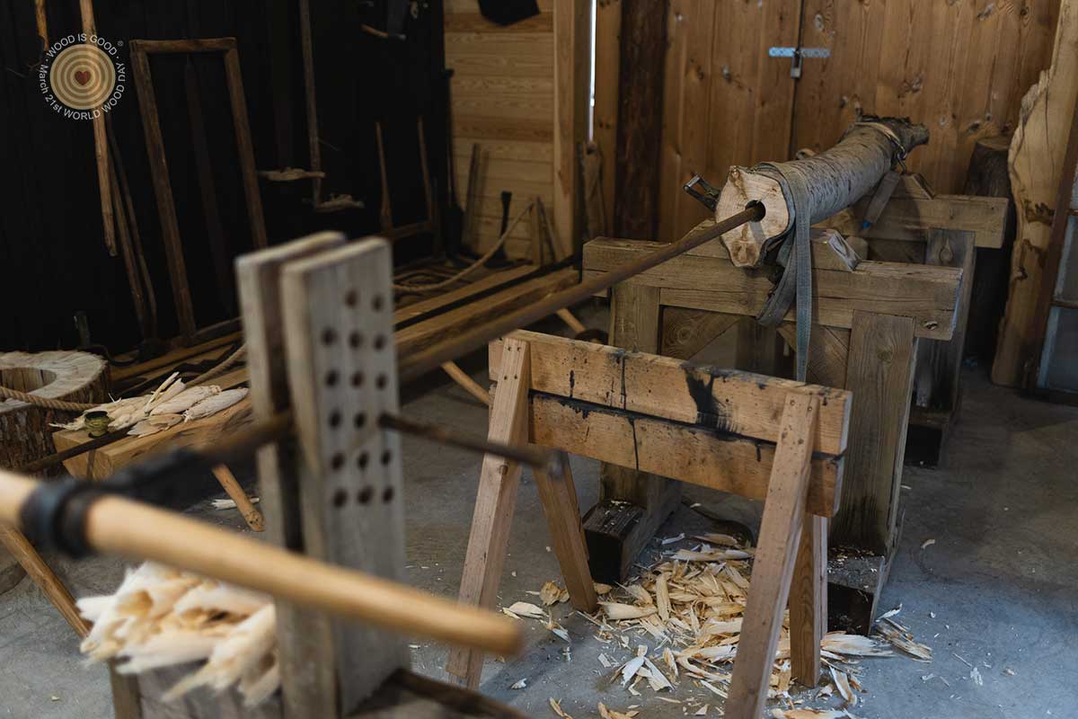 Regional Event in Latvia, World Wood Day 2023