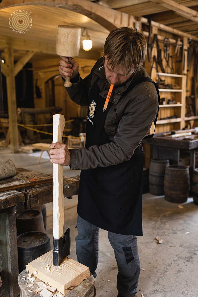 Regional Event in Latvia, World Wood Day 2023