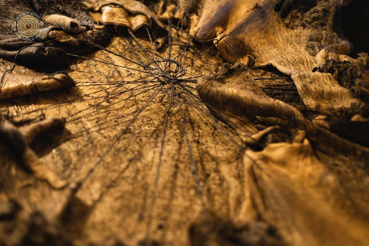 Regional Event in Latvia, World Wood Day 2023