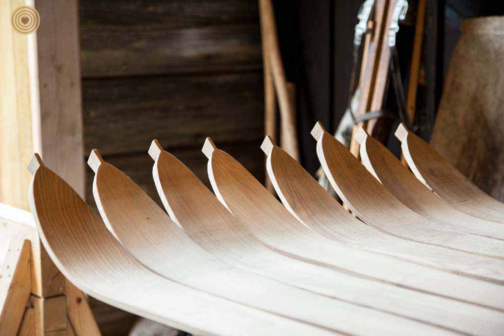 Regional Event in Latvia, World Wood Day 2024