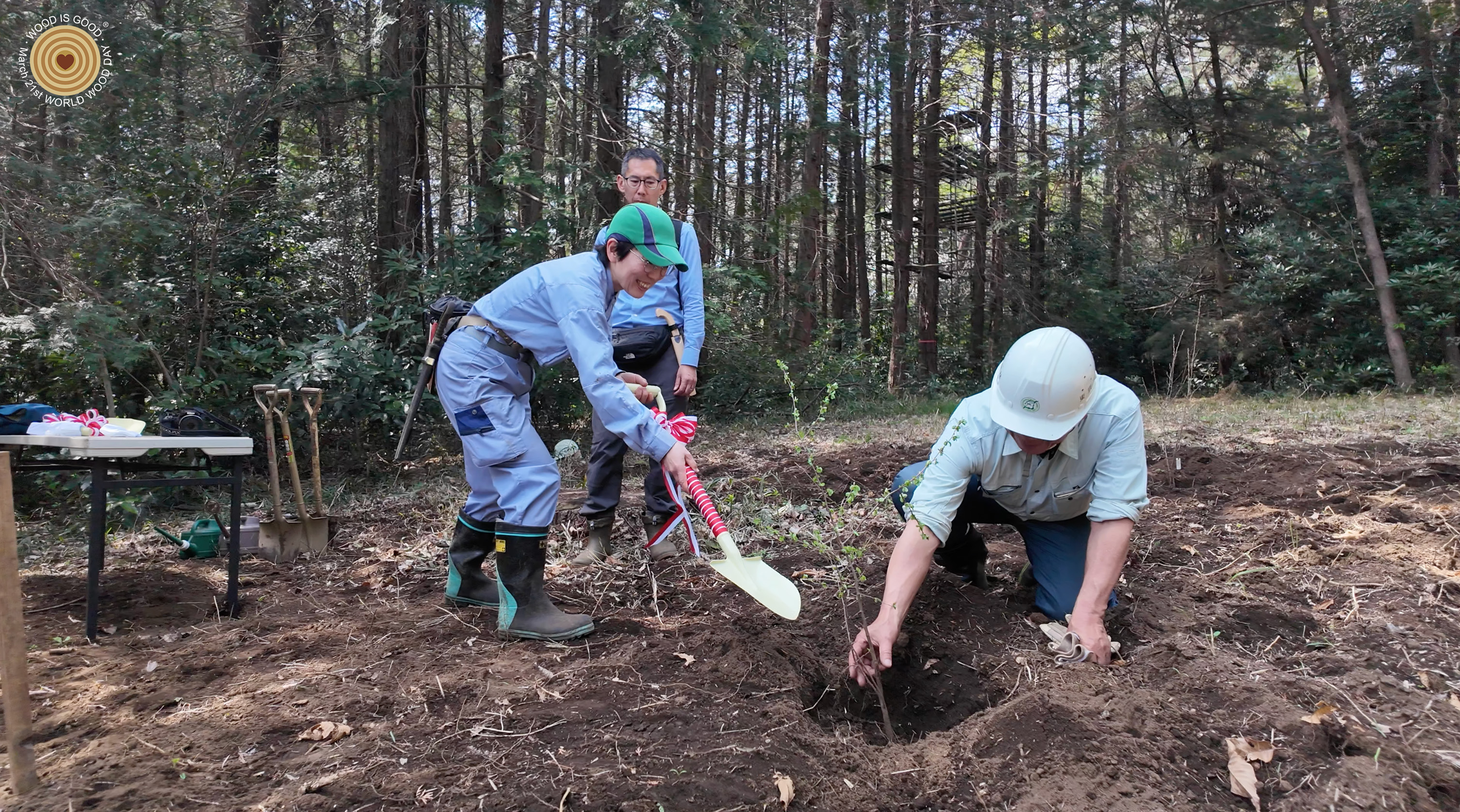 treeplanting