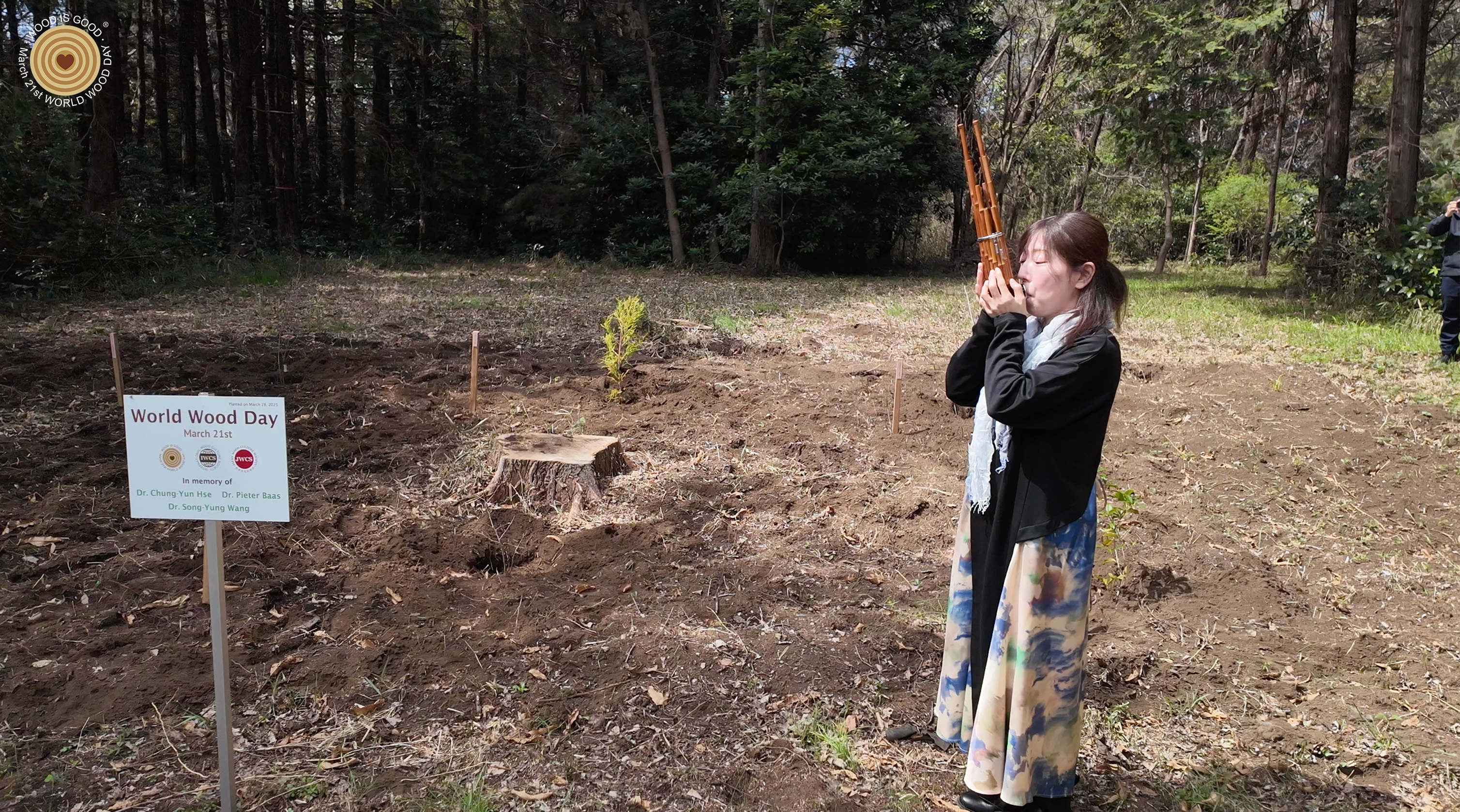 treeplanting