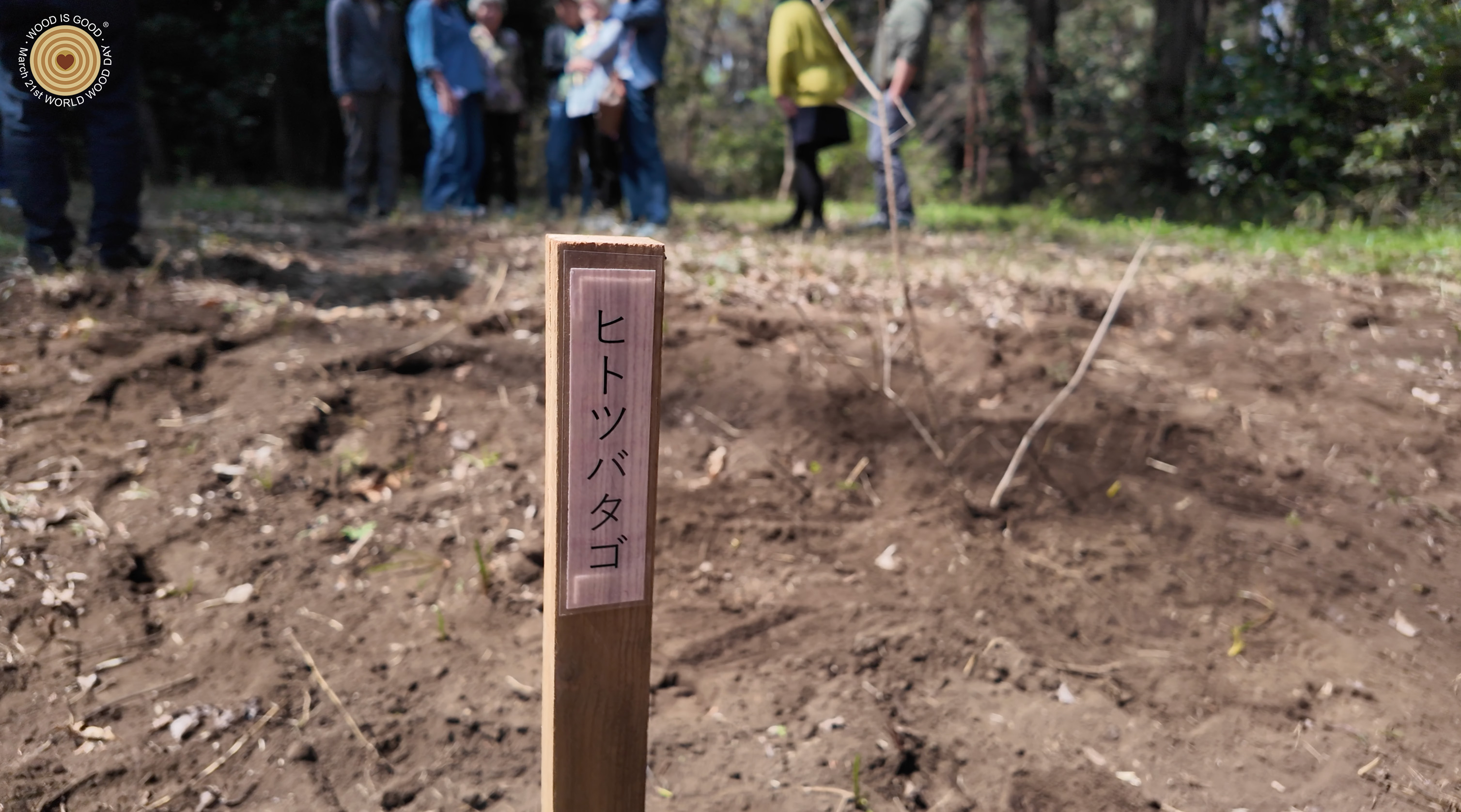 treeplanting