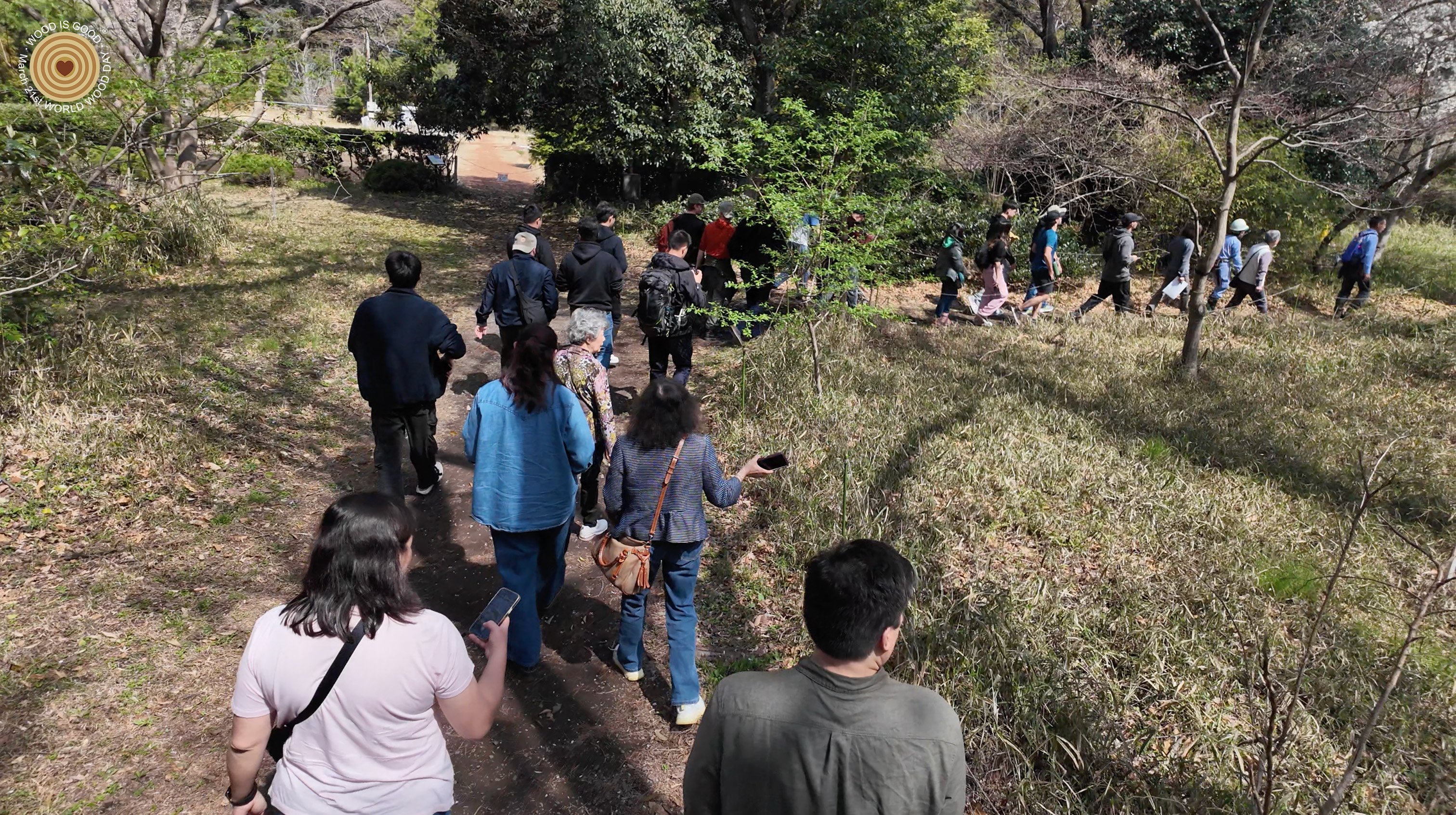 treeplanting