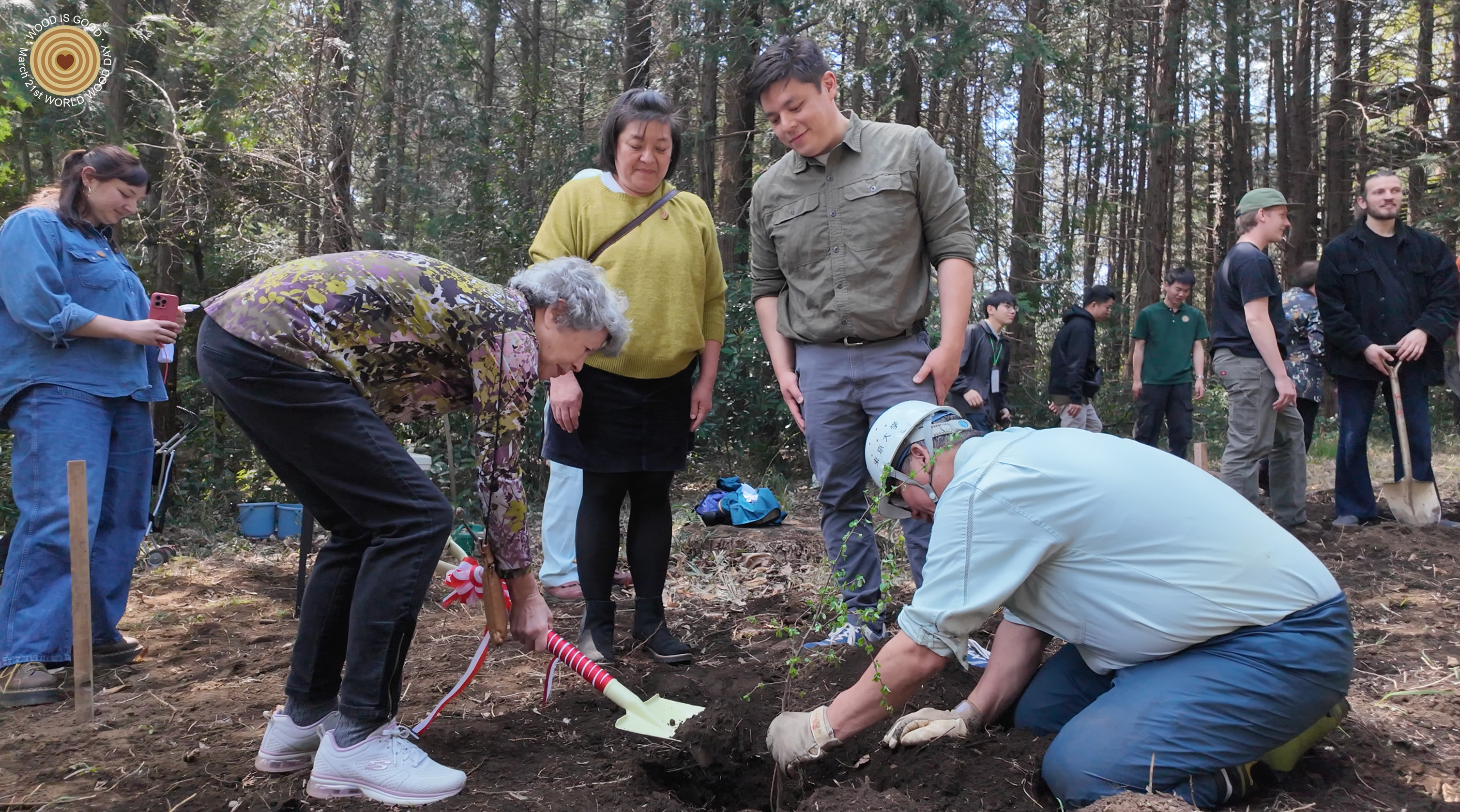 treeplanting