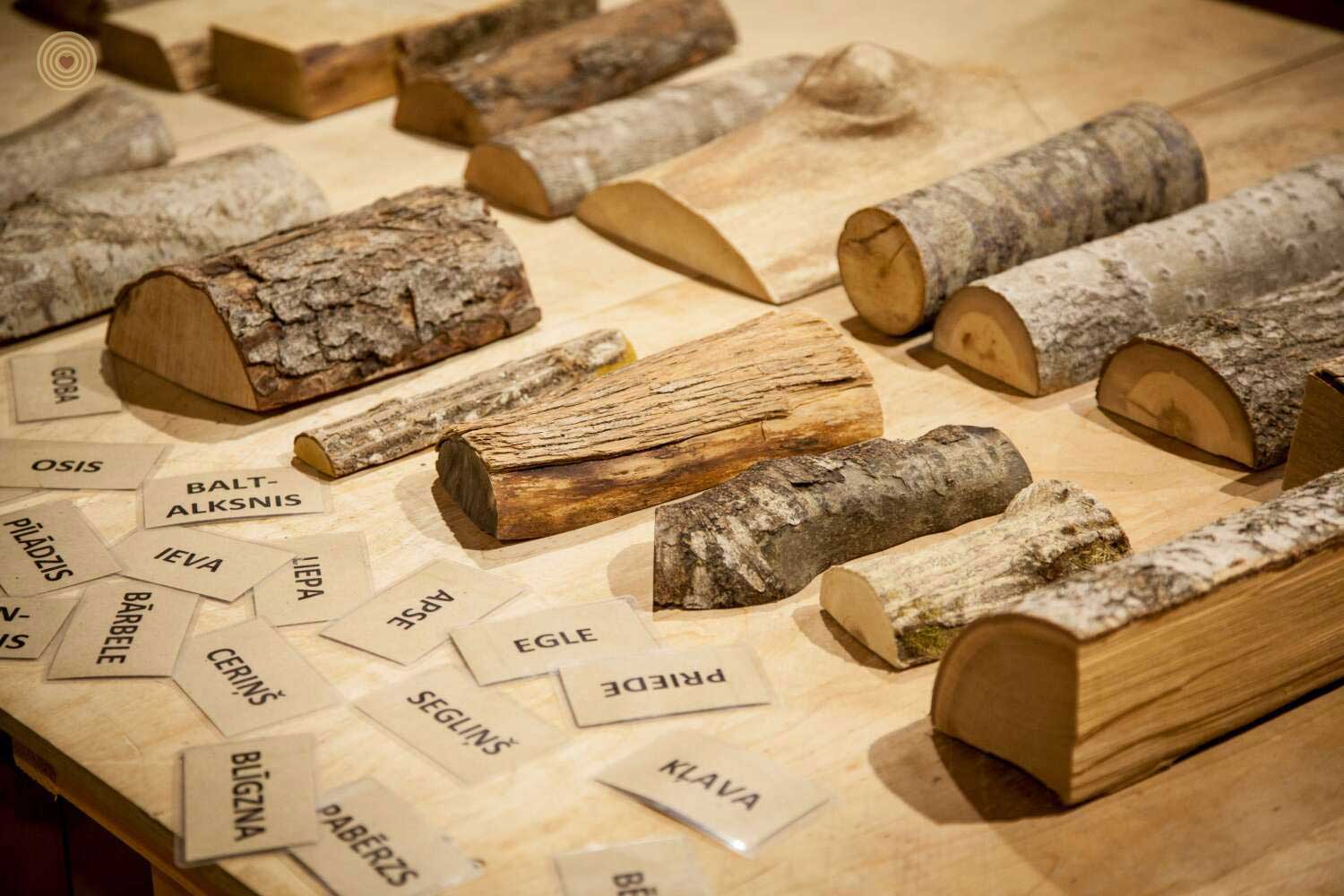 World Wood Day 2026, regional event, Latvia