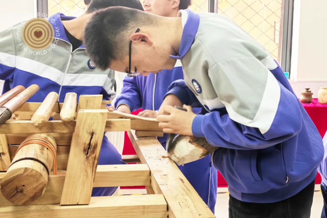 Hebei Feixiang, World Wood Day 2026, Regional Event in China