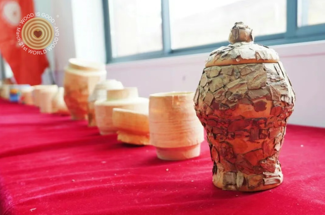 Hebei Feixiang, World Wood Day 2026, Regional Event in China