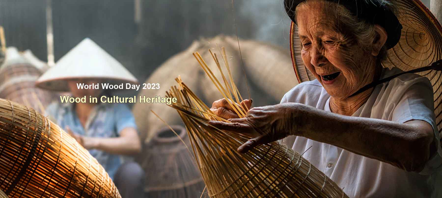 2023 World Wood Day