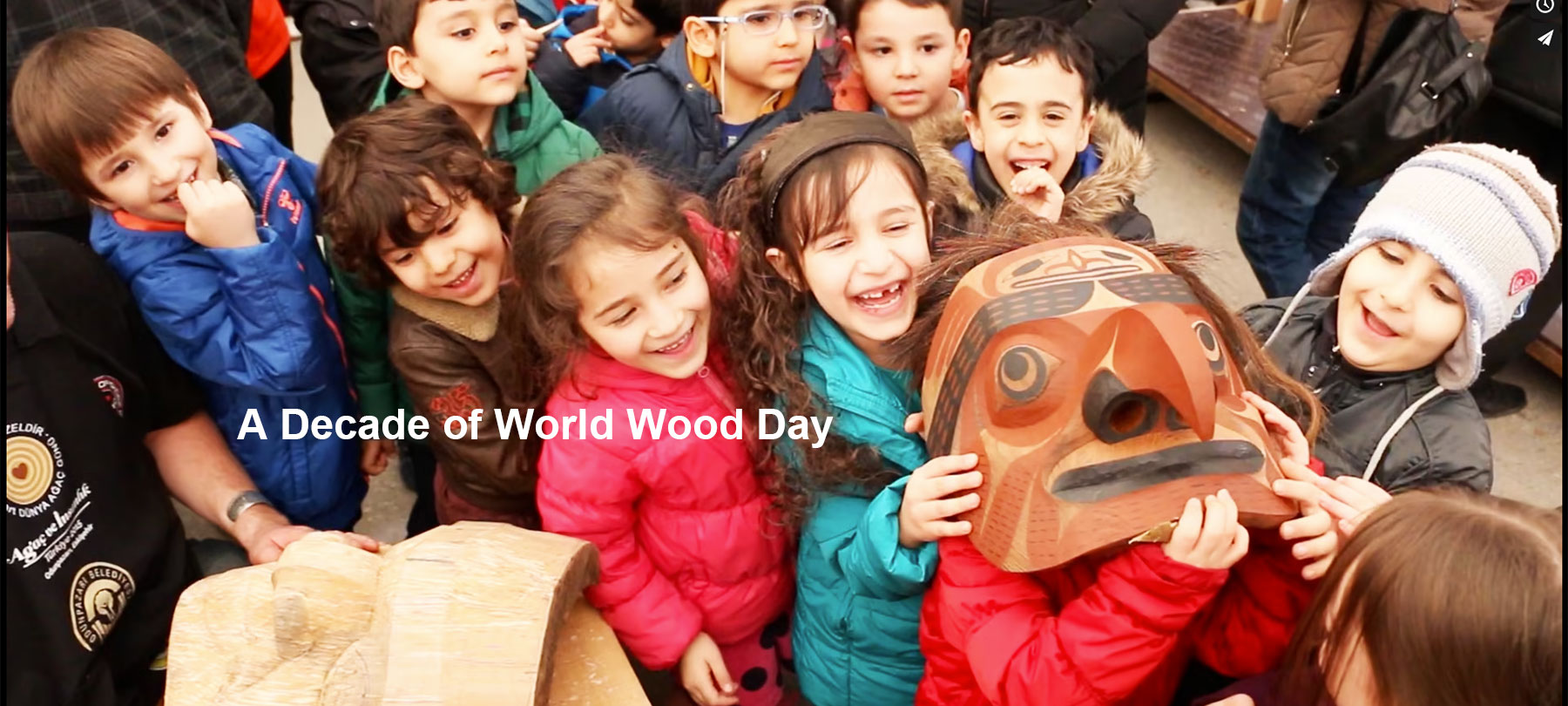 A Decade of World Wood Day