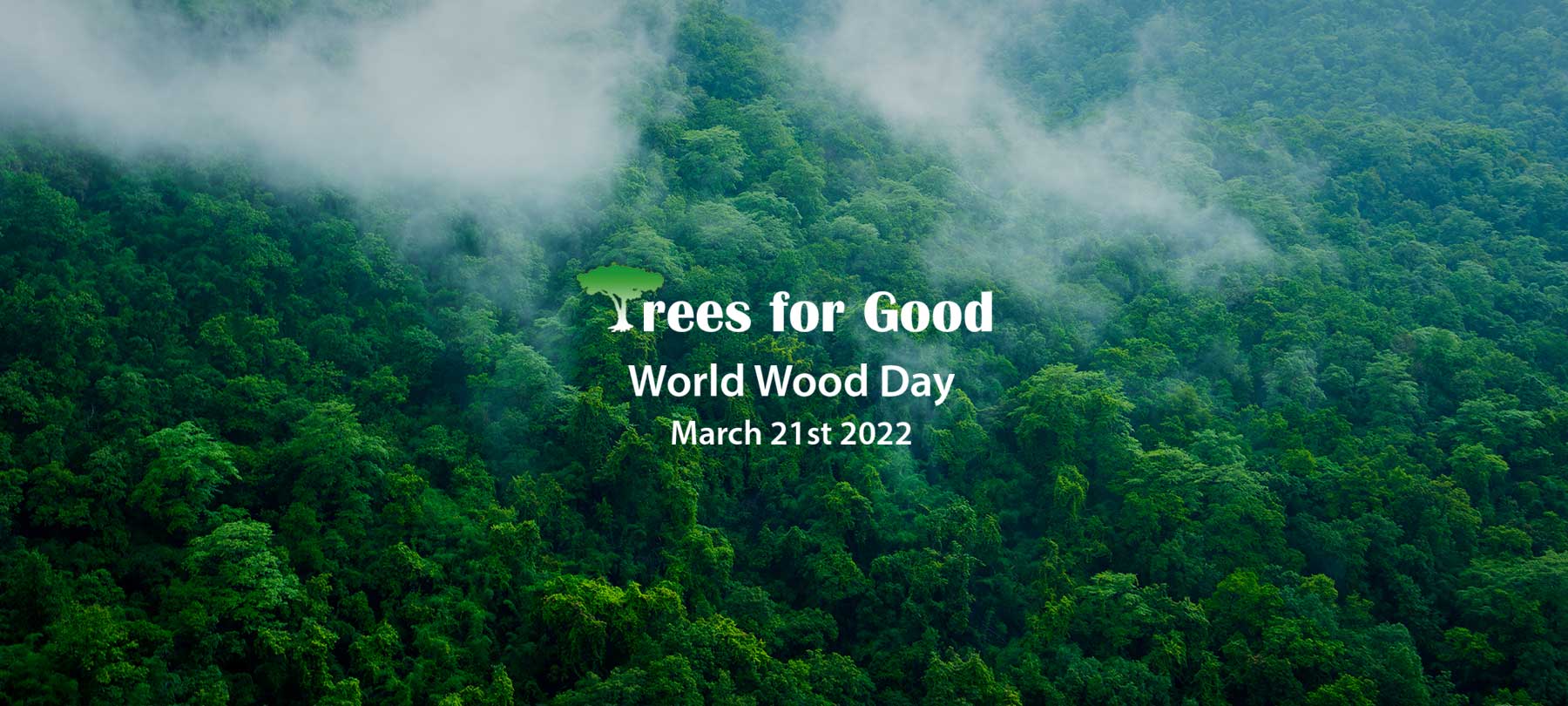 2022 World Wood Day